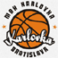 https://img.hr373.cn/img/basketball/team/0c2f73d2ab7041cf90029a20deff7f17.gif